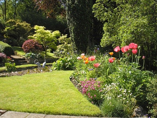 NGS garden Dorset