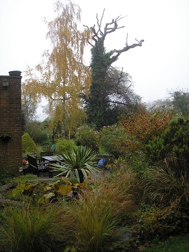 Part of the side garden