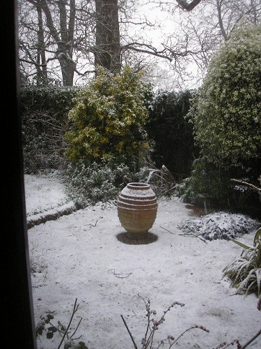 at the backLooking towards the gravel area