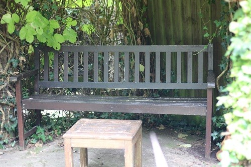 The old bench from by the back door.
