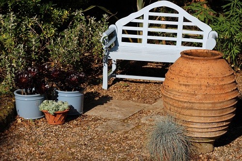 Early morning sunshine.