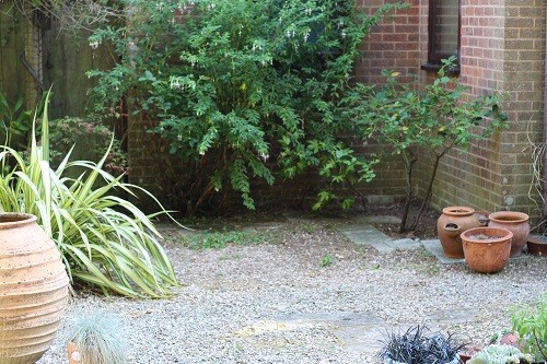 The new tidy shady area, can't wait to do some more interesting planting.