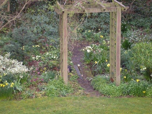 Woodland archway