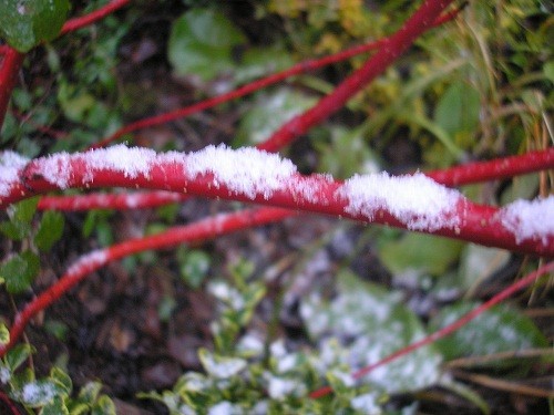 Just a sprinkling of snow.